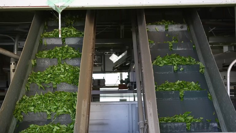一共介绍了6个免费使用渠道和方法